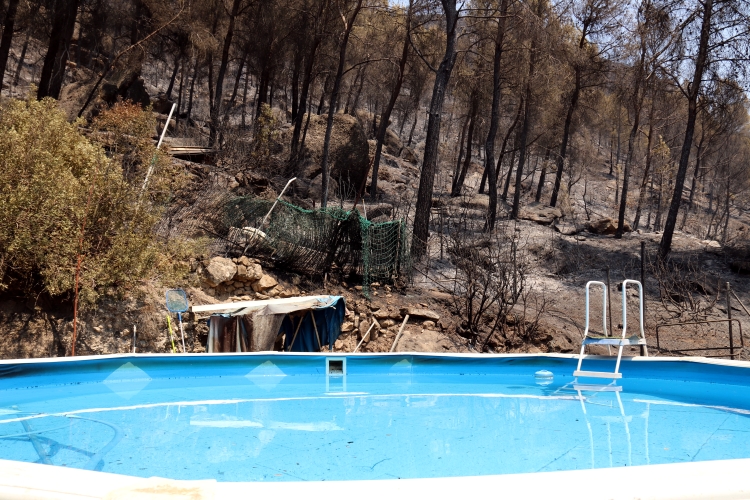 A swimming pool in the Pont de Vilomara area with the forest burned down behind on July 18, 2022 (by Nia Escolà)